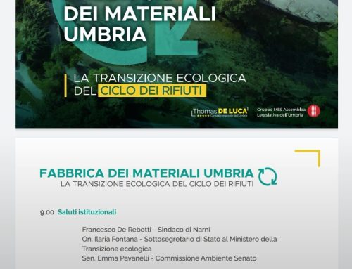 Il webinar organizzato dal consigliere regionale Thomas De Luca sulla gestione dei rifiuti