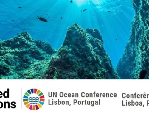 Oggi si conclude a Lisbona la Conferenza Onu sugli oceani
