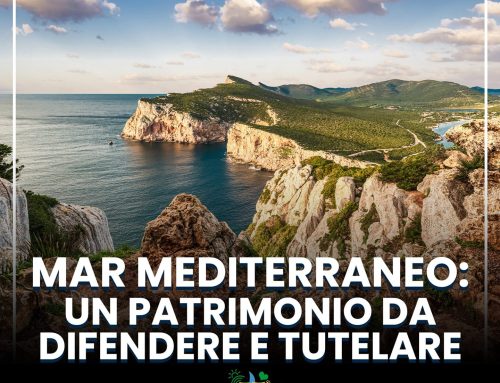 Mar Mediterraneo, un patrimonio da proteggere e tutelare